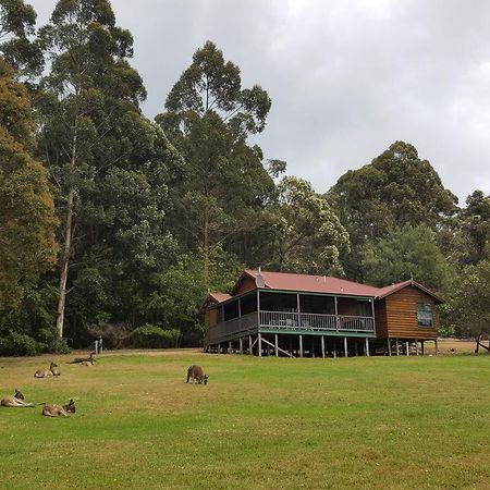 Walpole Wilderness Resort ภายนอก รูปภาพ